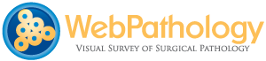 Web Pathology Logo