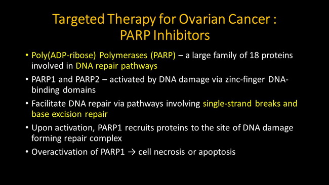 OvarianTumors_Treatment3_PARP_resized.jpg